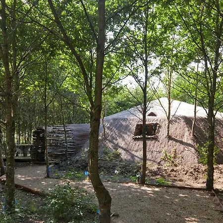 Maison Avec Terrasse - 3 Pour 8 Personnes - Api-1-52-1337 Campsite *